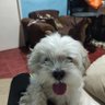 Edsel Abiera's profile picture