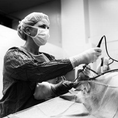 Dr. Patty Hogan's profile picture