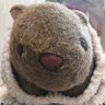ためいけ's profile picture