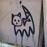腹よわボーイ's profile picture