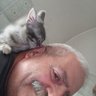 Tonino Boncompagni's profile picture