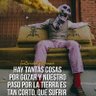 LUIS HERNANDEZ 的头像