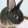 Profilbild von ããã«ã
