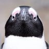 もりっき〜 的头像
