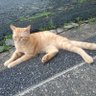 Luna's profile picture