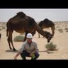 Carlos J Ballesteros. profil fotoğrafı