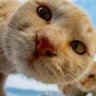 Profilbild von Mara