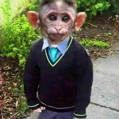 RS's profile picture