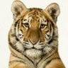 Yicklun Chan's profile picture