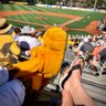 Baseball&DemocracyRock's profile picture