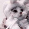 はむぴ's profile picture