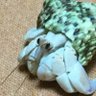 なり行🇯🇵 的头像