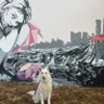 Фото профиля Gus