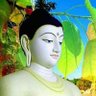 DAGMEDPA SOTOKU NIRISARO profil fotoğrafı