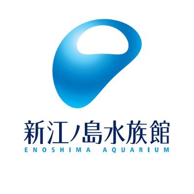 新江ノ島水族館's profile picture