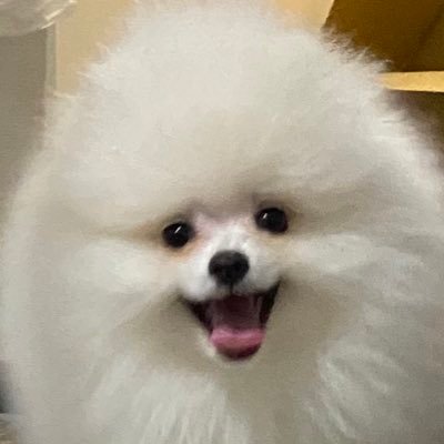 コロ太くん's profile picture