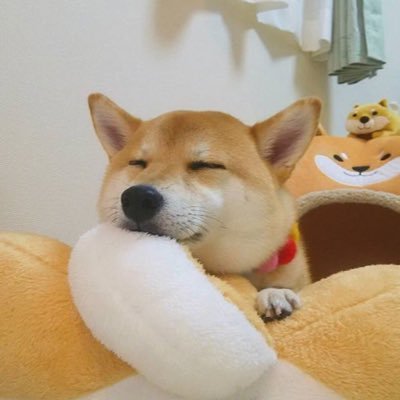 Will's profile picture