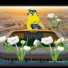 خلف محزري's profile picture