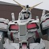 Фото профиля かっちー7