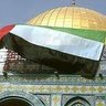 أبو أحمد الجابري's profile picture