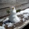 FloE profil fotoğrafı