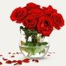 iftikhar hussain's profile picture