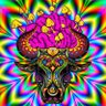 Profilbild von Amit P