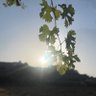 غالباً ... سعد profil fotoğrafı