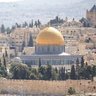 Ezzat Algonaid (القدس قضية كل حر) 的头像