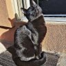 Calibre profil fotoğrafı