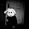 𝐇𝐔𝐍𝐓's profile picture