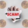 Profilbild von Crypto scam detector