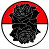 XehrFelrosePoGo profil fotoğrafı