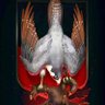 Константин's profile picture