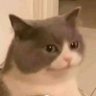 Profilbild von I'm Not Margarina