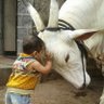 Navya's profile picture