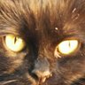 boomerang2's profile picture