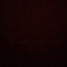 Ayush Kumar's profile picture