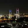 2〜36尾くらいの狐 的头像