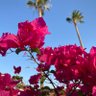 Sunny@🇺🇸△🥞🏮💜 profil fotoğrafı