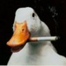 sourmcsour profil fotoğrafı