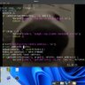 nempk1 的头像