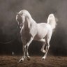 هُذام profil fotoğrafı