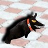 швайнокарась в котячій шкурі ✙ 🇺🇦's profile picture