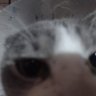 DerMay profil fotoğrafı