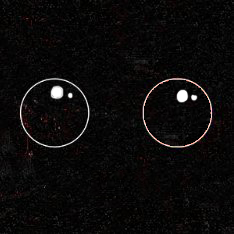 concluse_dev's profile picture