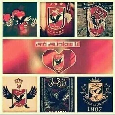 Toota74's profile picture
