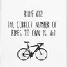 No Such Thing as Too Many Cycles 🐭🌸's profile picture