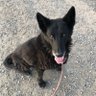 Profilbild von Karen