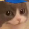 Kitty's profile picture